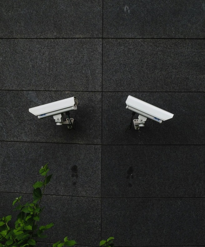 Cámaras de Seguridad Profesionales